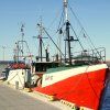 The Fisherman’s Day